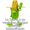 XD
La lluvia y yo
venimos con las
mismas
Intenciones