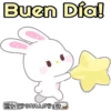 Rabbits 26