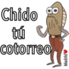 Chido
tú
cotorreo
Madrid