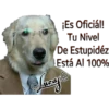 Perros Perrúnos 27