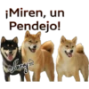 Perros Perrúnos 28