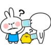 Rabbit 4 24