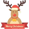 Navidad 28
