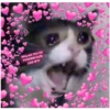 Why arE YOU SO
FUCKING CUTE
LIKE WTF