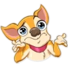 Chihuahua Chica 24