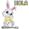 Rabbits 27