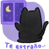 Gatitos Amorosos 19