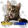 GOOD NIGHT
kew Beles