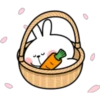 Rabbit 4 28