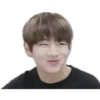 V (BTS) 28