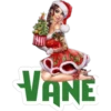 VANE