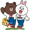 0
기
BROWN