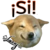 Perros Perrúnos 30