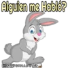 Rabbits 28