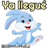 Rabbits 29