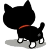 Gatinho preto 5