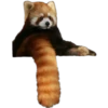 Animales (2) 5