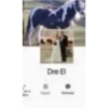 Dre El