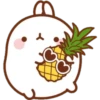 ^-^ Kawaii Rabbit 2 ^-^ 8