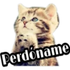 Perdóname