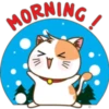 Christmas cat 6