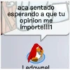 Club penguin 8