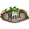 Merit
@Rosmery_arq