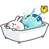 Rabbit 3 10