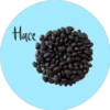Hace