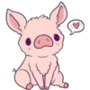 Pequenos animais 8