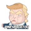 PINCHE GATOU