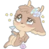 Tiernos 5
