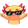 Mexican Axolotl 10