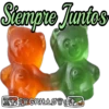 Panditas 5