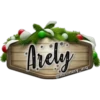 Mrely
@Rosmery_arq
