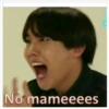 No mameeees