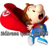 Mario Bros 2 12