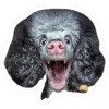perros 9