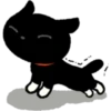 Gatinho preto 14