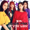 Black Pink Band 2 7