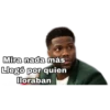 Mira nada más Llegó por quien lloraban