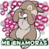 hadderbonilla
ME ENAMORAS