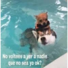 No voltees a ver a nadie
que no sea yo ok?