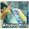 Ahuevo Prro
