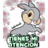 hadderbonilla
TIENES MI
ATENCION