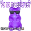 Panditas 7