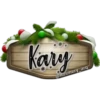 Kary
@Rosmery_arq