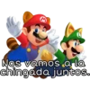 Mario Bros 2 14