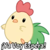 Ya Voy Espera!