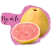 Hijo de la